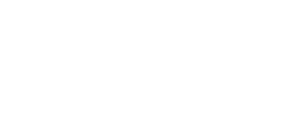 DMG
